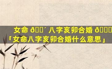 女命 🐴 八字亥卯合婚 🐋 「女命八字亥卯合婚什么意思」
